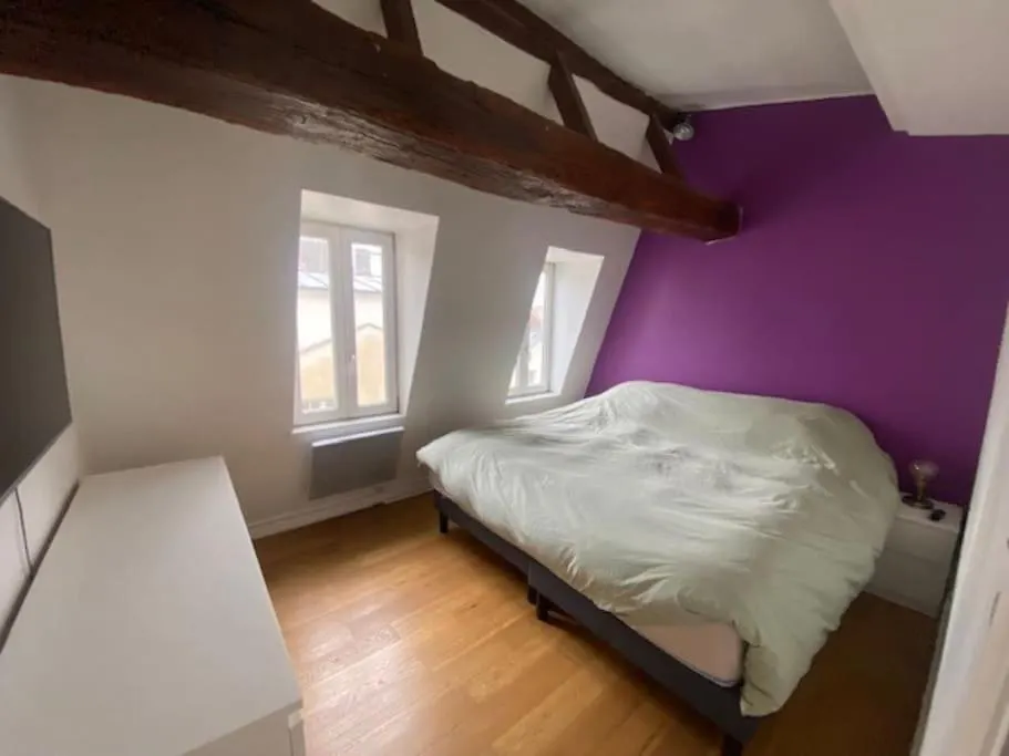 Duplex - Ile Saint Louis Apartment Paris