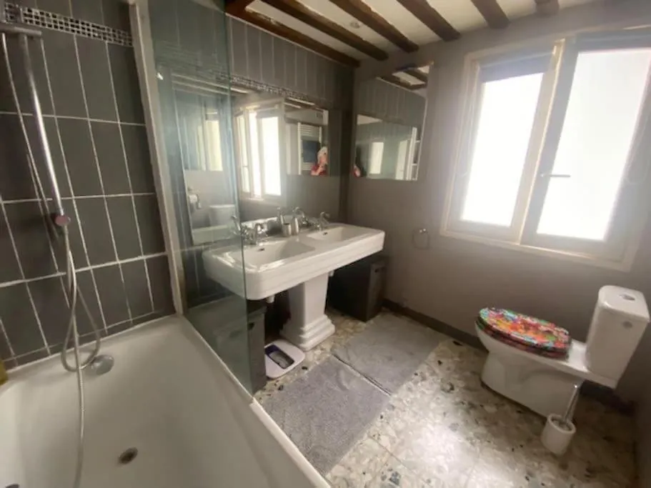 Duplex - Ile Saint Louis Apartment Paris France