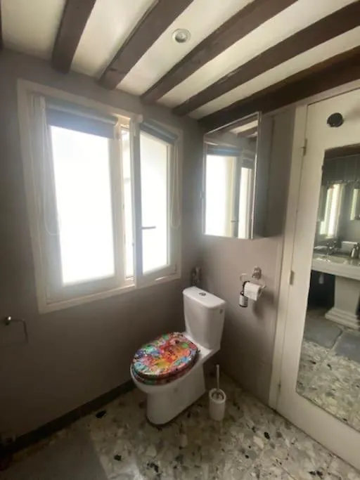 Duplex - Ile Saint Louis Apartment Paris 0*,  France